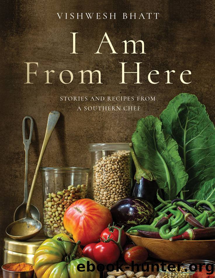I Am From Here by Vishwesh Bhatt