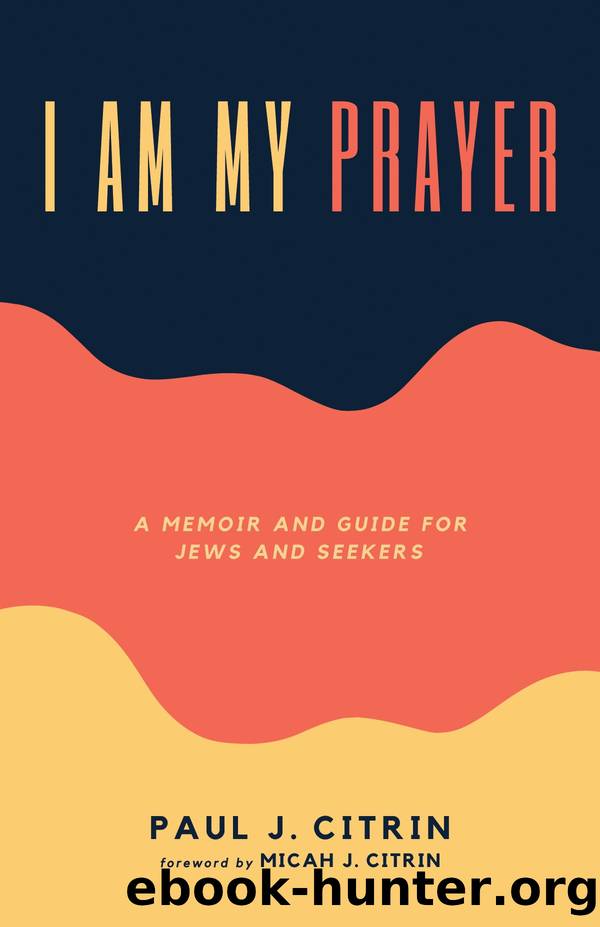 I Am My Prayer by Paul J. Citrin