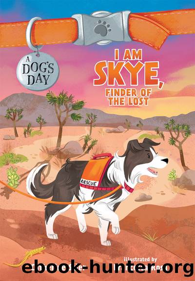 I Am Skye, Finder of the Lost by Catherine Stier