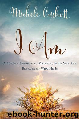 I Am by Michele Cushatt