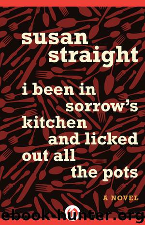 I Been in Sorrow's Kitchen and Licked Out All the Pots by Susan Straight