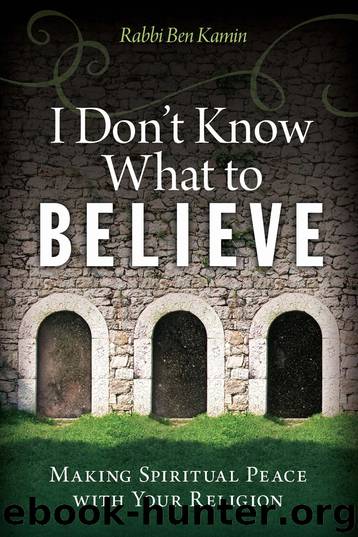I Don't Know What to Believe by Ben Kamin