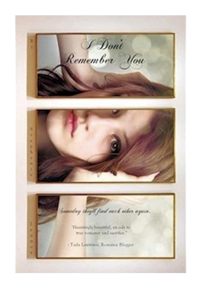 I Don't Remember You by Stephanie Lennox