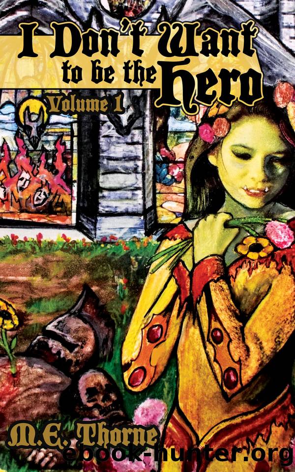 I Don't Want to Be the Hero Vol. 1 by M. E. Thorne