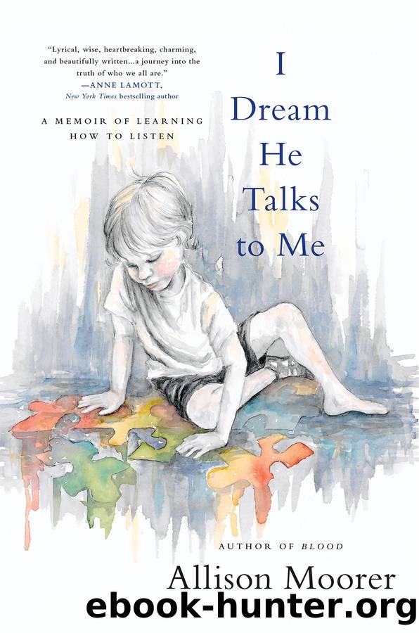 I Dream He Talks to Me by Allison Moorer