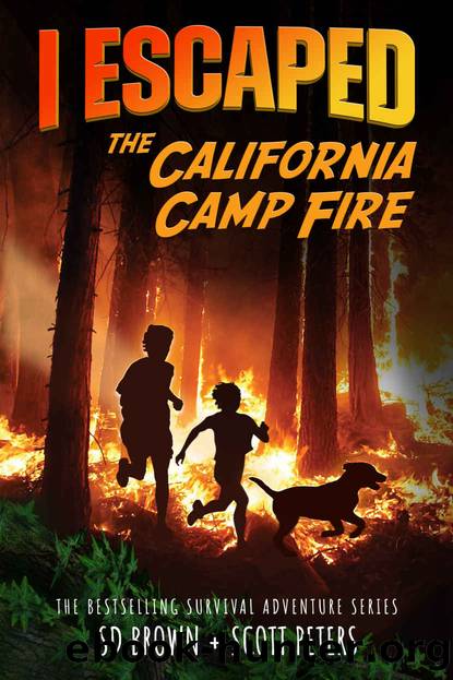 I Escaped the California Camp Fire: Americaâs Deadliest Fire by Peters Scott & Brown SD