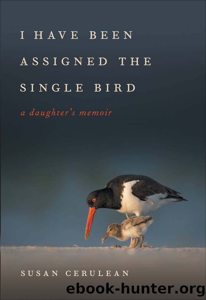 I Have Been Assigned the Single Bird by Susan Cerulean