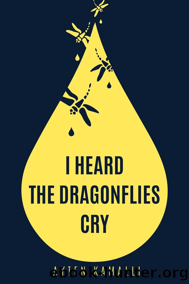 I Heard the Dragonflies Cry by Ayten Kamalli