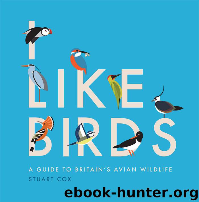 I Like Birds by Stuart Cox