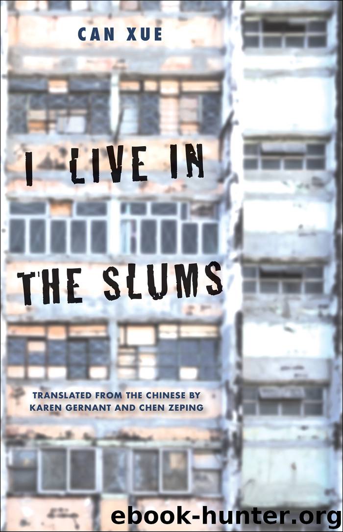 I Live in the Slums by Can Xue