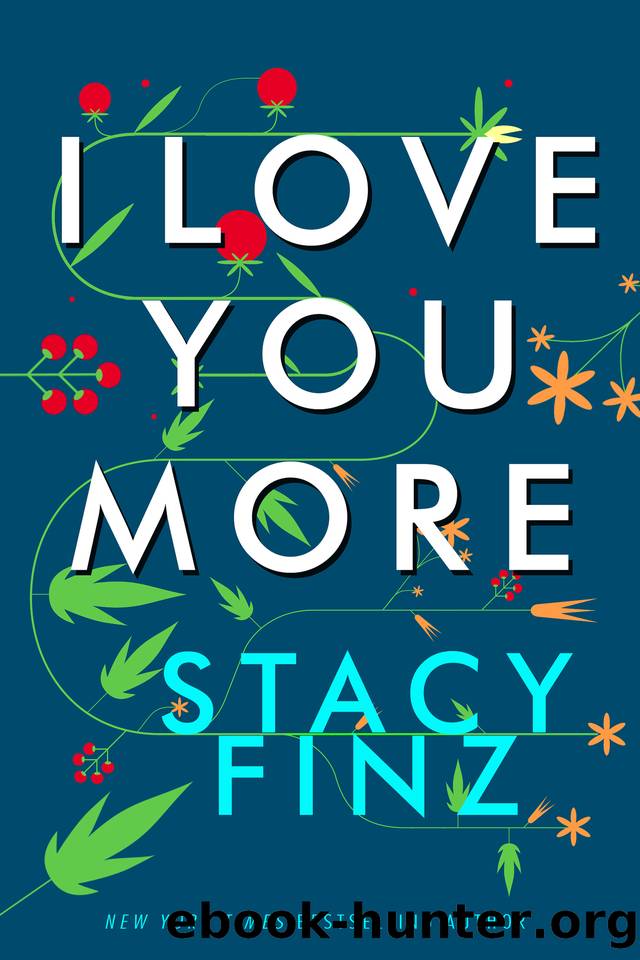 I Love You More by Stacy Finz