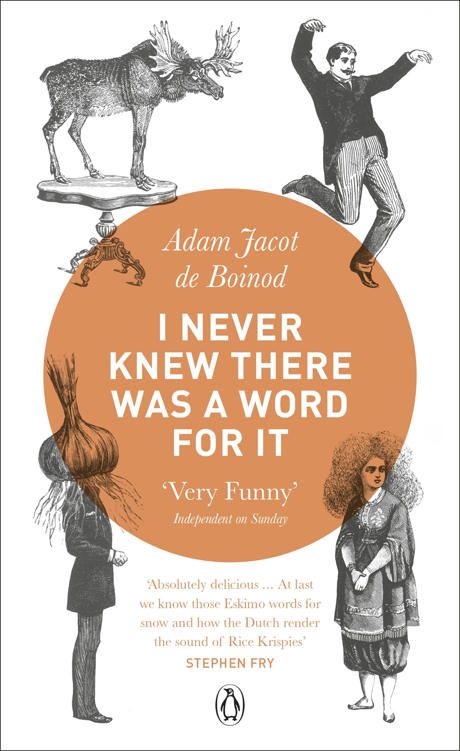 I Never Knew There Was a Word for It by Adam Jacot De Boinod