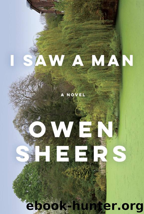 I Saw a Man by Sheers Owen