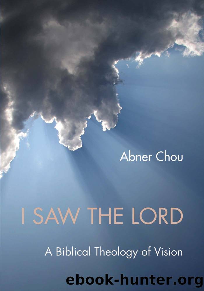 I Saw the Lord: A Biblical Theology of Vision by Abner Chou