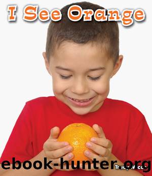 I See Orange by Trudy Micco
