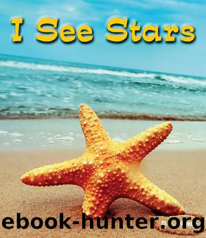 I See Stars by D.H. Dilkes