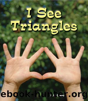 I See Triangles by D.H. Dilkes