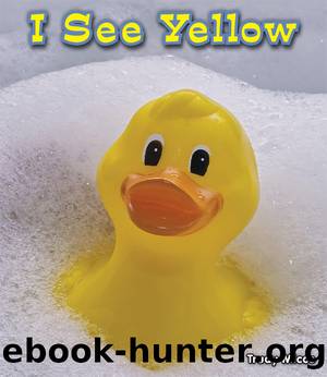 I See Yellow by Trudy Micco