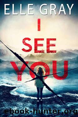 I See You (Arrington Mystery Book 1) by Elle Gray