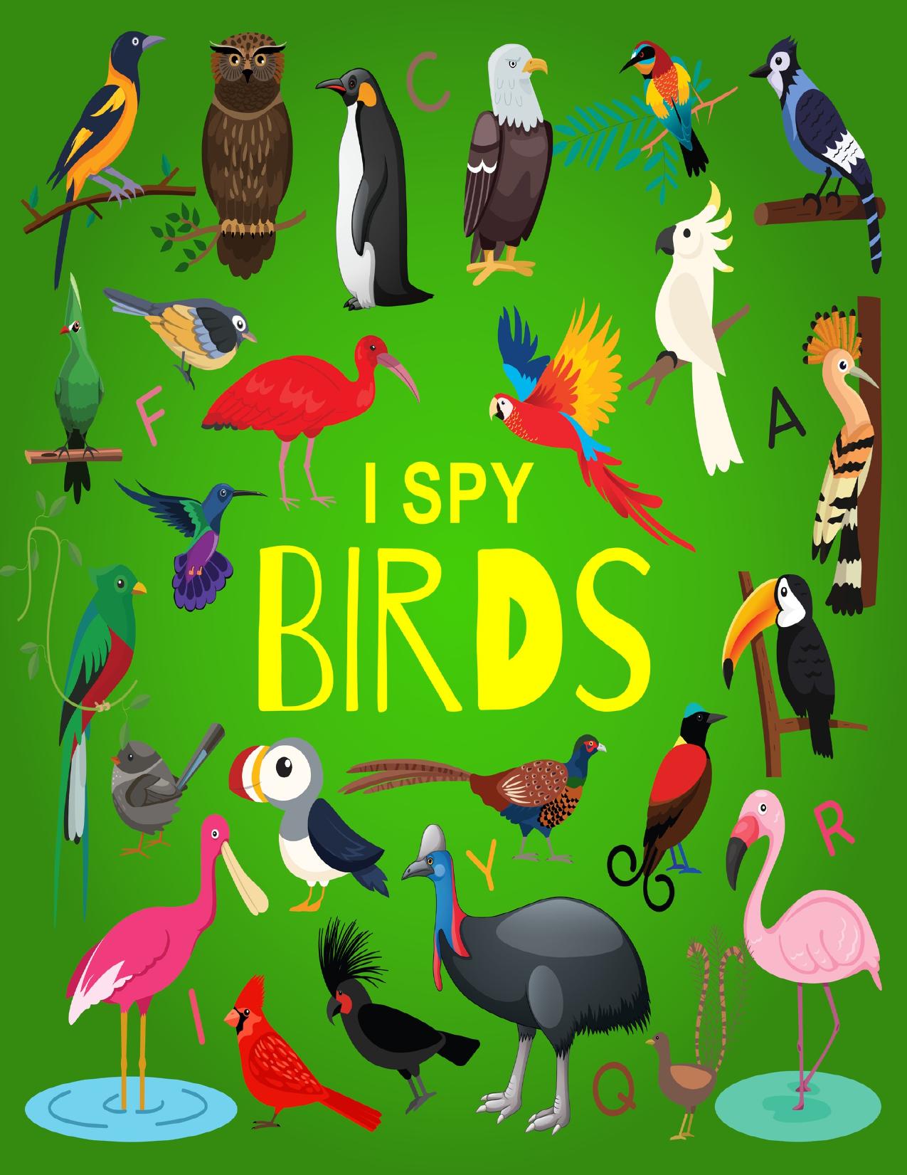 I Spy Birds: A Fun Guessing Game Picture Book for Kids Ages 2-5, Toddlers and Kindergartners ( Picture Puzzle Book for Kids ) (I Spy Books for Kids 4) by Malkovich Alek
