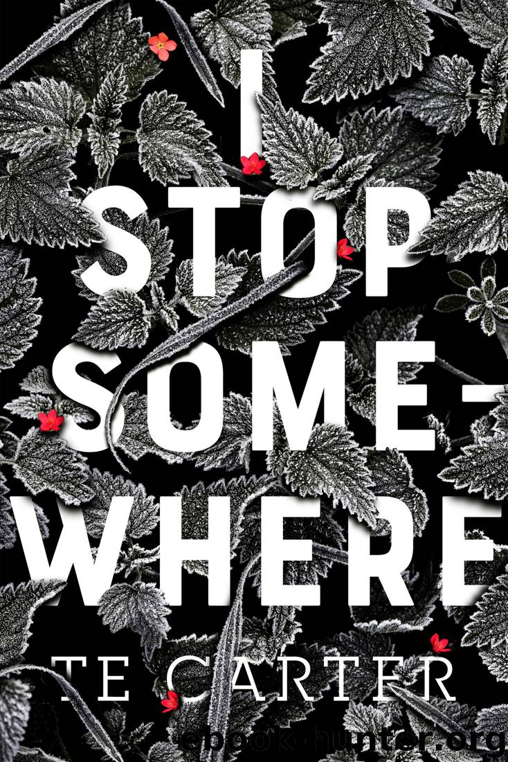 I Stop Somewhere by TE Carter