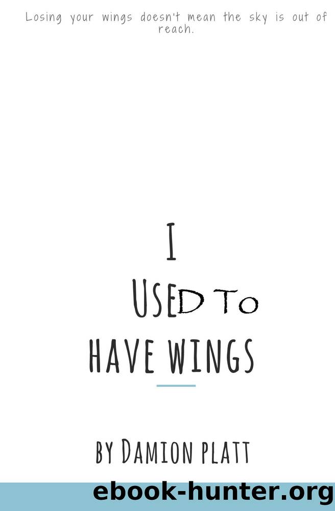 I Used To Have Wings by Damion Platt