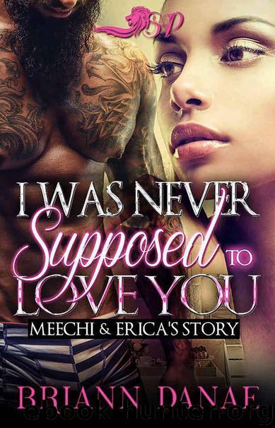 I Was Never Supposed to Love You: Meechi and Erica's Story by Briann Danae