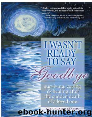 I Wasn't Ready to Say Goodbye by Brook Noel