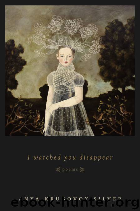 I Watched You Disappear by Anya Krugovoy Silver