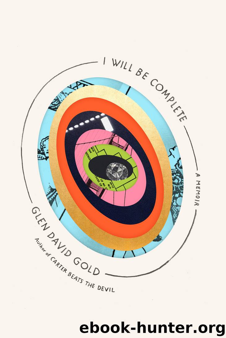 I Will Be Complete by Glen David Gold
