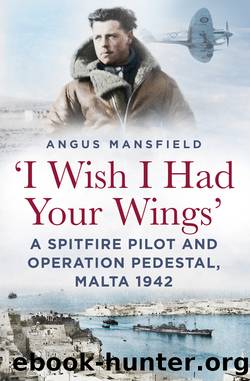 I Wish I Had Your Wings by Angus Mansfield