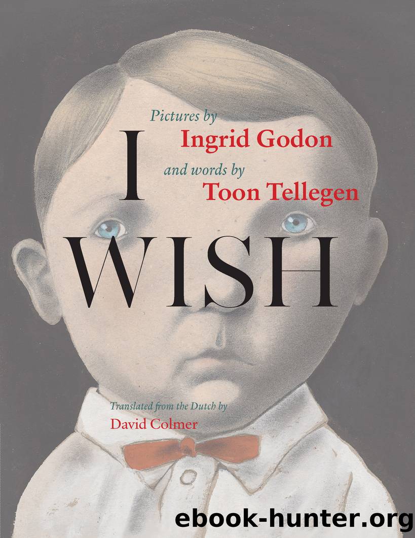 I Wish by Toon Tellegen