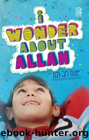 I Wonder About Allah by Ozkan Oze