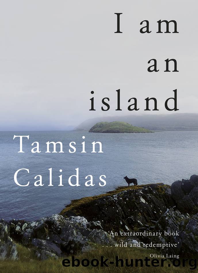 I am an island by Tamsin Calidas