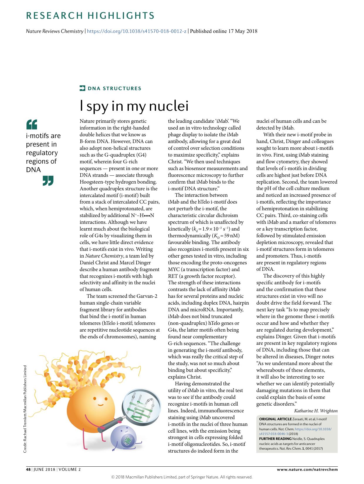 I spy in my nuclei by Katharine H Wrighton