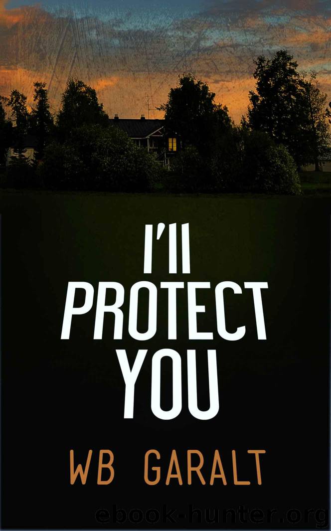 I'll Protect You (Clueless Resolutions Book 1) by Garalt W B