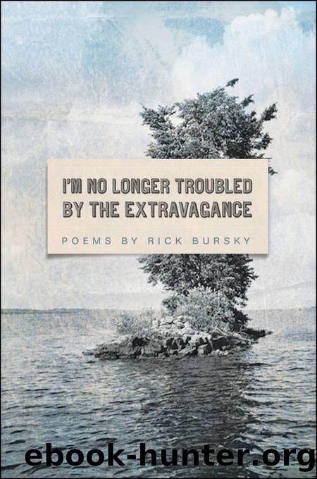 I'm No Longer Troubled by the Extravagance by Rick Bursky