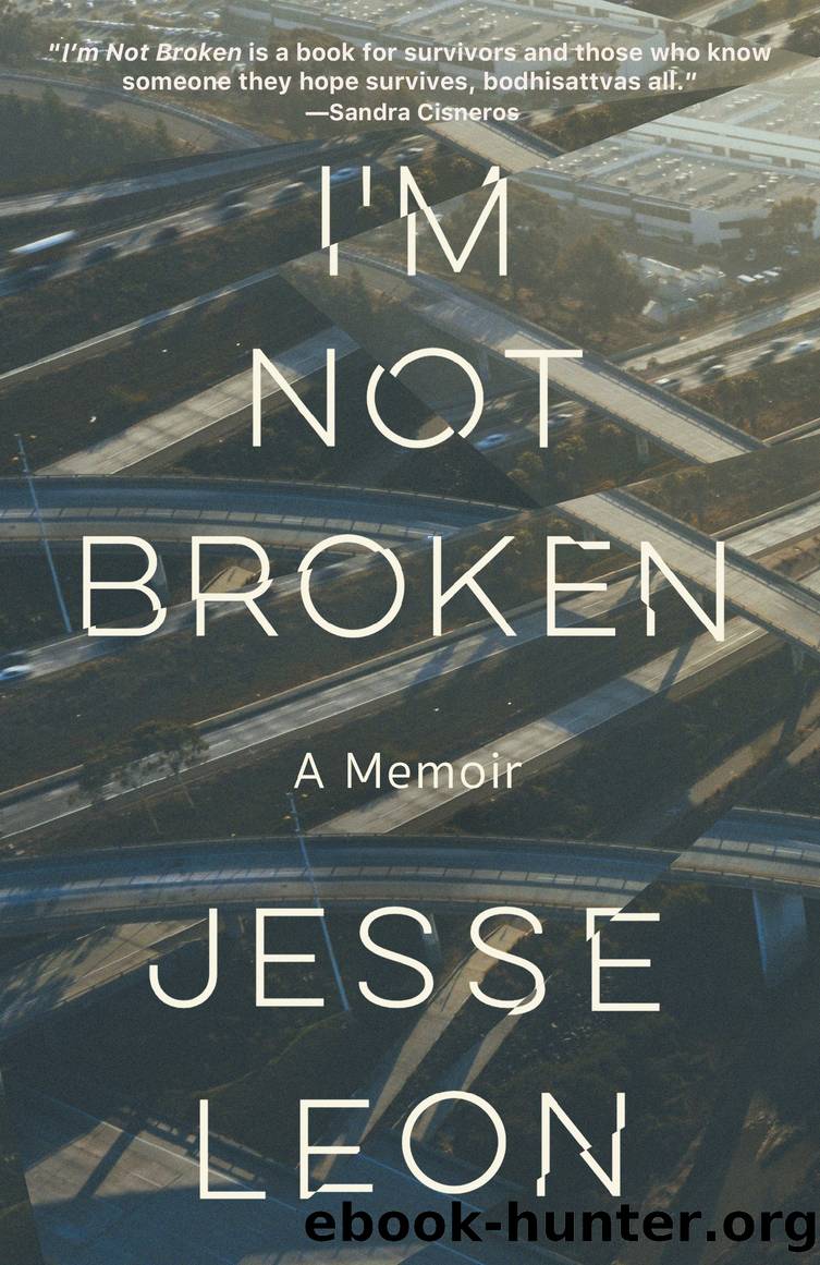 I'm Not Broken by Jesse Leon