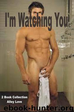 I'm Watching you - 2 pack collection - Voyeurism/ Hardcore Sex/Anal Penetration/Seduction-Erotica by Love Alley