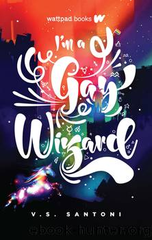 I'm a Gay Wizard by V.S. Santoni