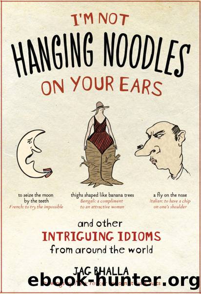 I'm not hanging noodles on your ears and other intriguing idioms from around the world by Jag Bhalla