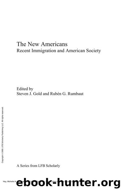 I've Been Black in Two Countries : Black Cuban Views on Race in the US by Michelle A. Hay