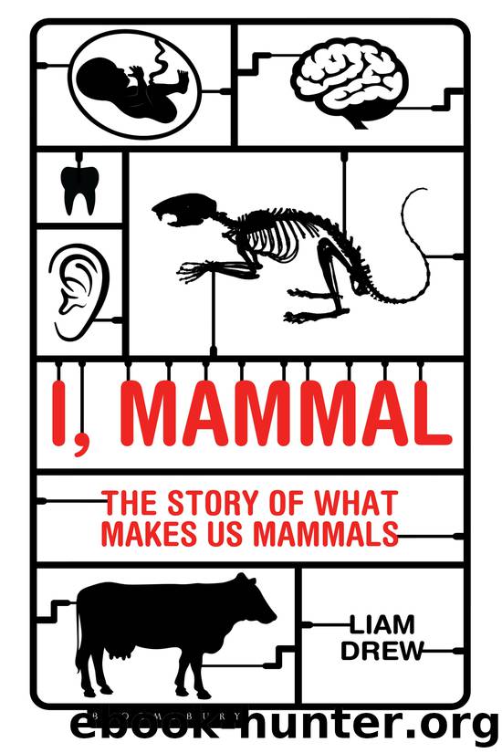 I, Mammal by Liam Drew