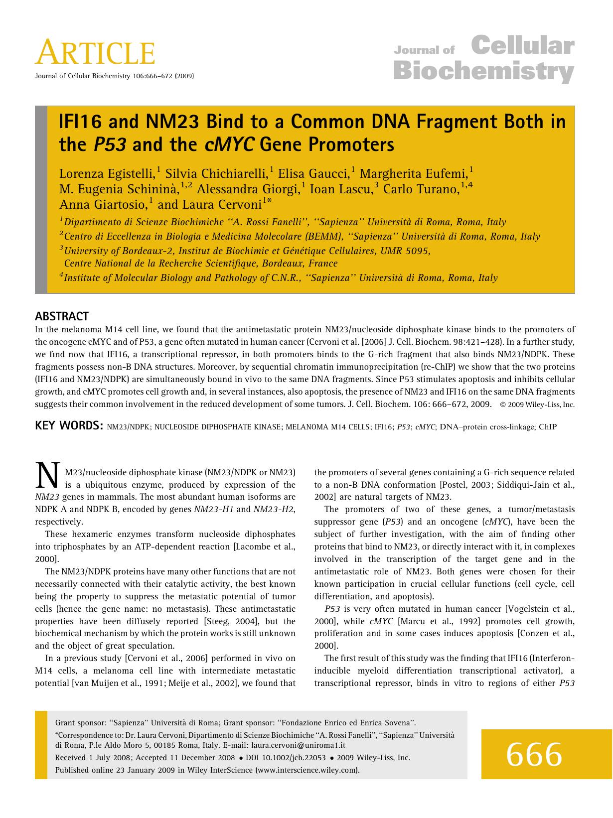 IFI16 and NM23 bind to a common DNA fragment both in the P53 and the cMYC gene promoters by Unknown