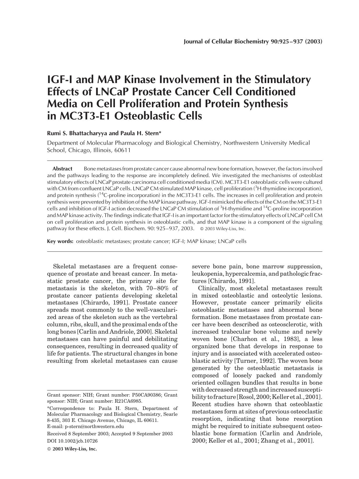 IGF-I and MAP kinase involvement in the stimulatory effects of LNCaP prostate cancer cell conditioned media on cell proliferation and protein synthesis in MC3T3-E1 osteoblastic cells by Unknown