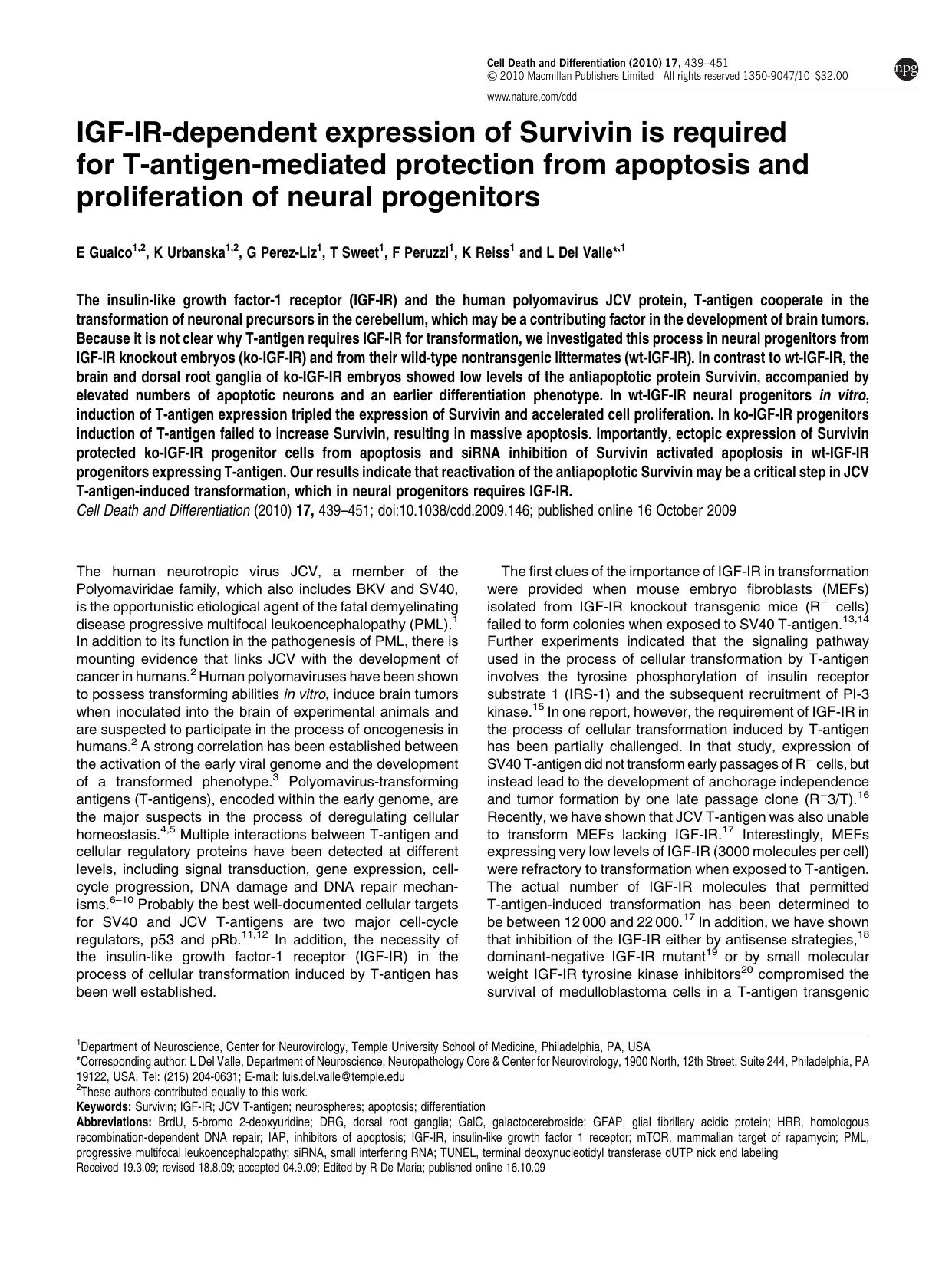 IGF-IR-dependent expression of Survivin is required for T-antigen-mediated protection from apoptosis and proliferation of neural progenitors by E Gualco & K Urbanska & G Perez-Liz & T Sweet & F Peruzzi & K Reiss & L Del Valle