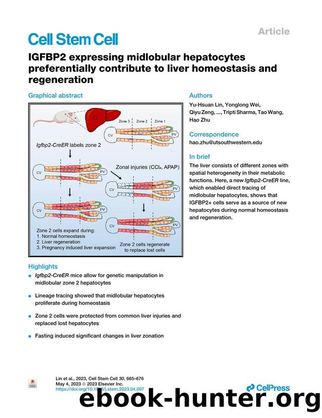 IGFBP2 expressing midlobular hepatocytes preferentially contribute to liver homeostasis and regeneration by unknow