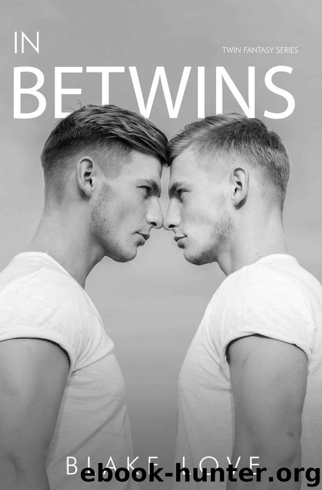 IN BETWINS (MM gay Twin romance fantasy series Book 1) by Love Blake