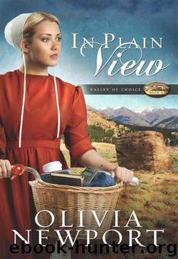 IN PLAIN View by OLIVIA NEWPORT