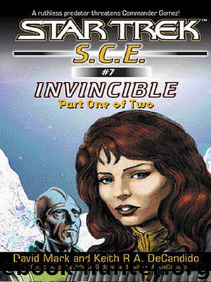 INVINCIBLE by David Mack & Keith R.A. DeCandido